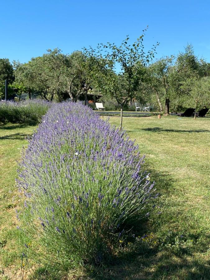 Agriturismo La Cervaiola Piccola Dimora Di Campagna Porano Dış mekan fotoğraf