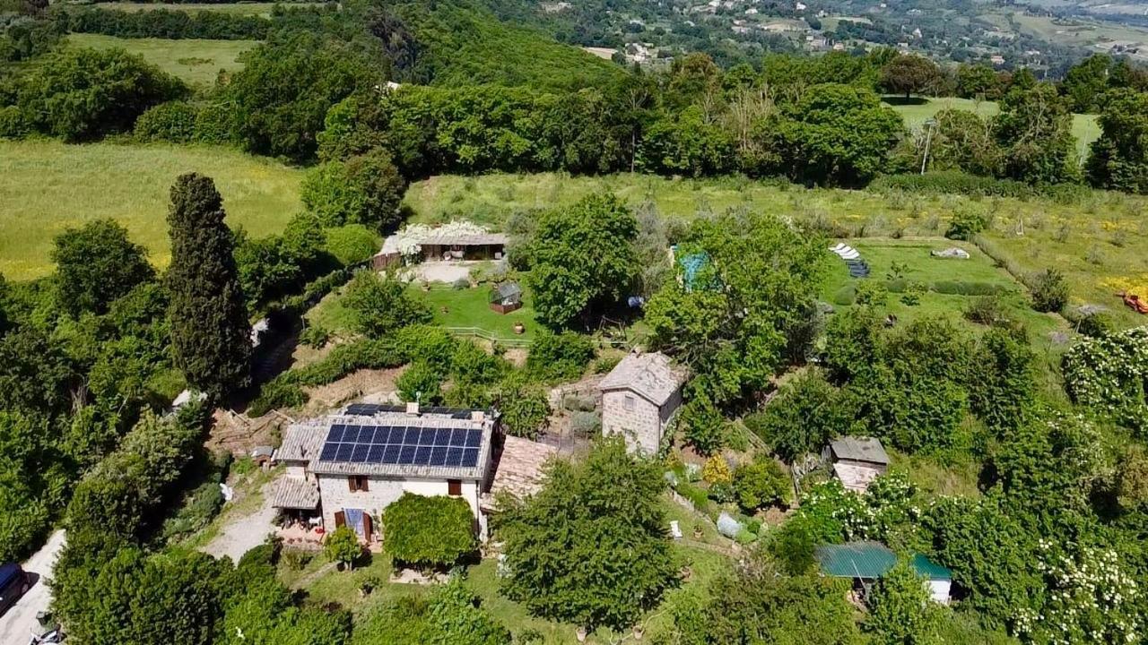 Agriturismo La Cervaiola Piccola Dimora Di Campagna Porano Dış mekan fotoğraf