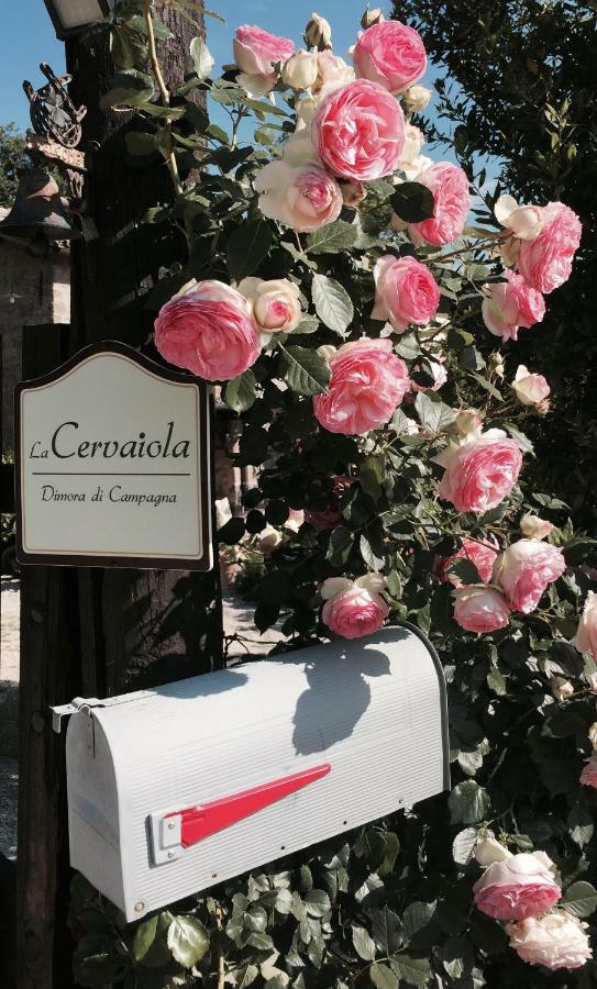 Agriturismo La Cervaiola Piccola Dimora Di Campagna Porano Dış mekan fotoğraf